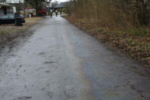 060121 Olie paa Duevej Vamdrup 03 foto H E Haulrich