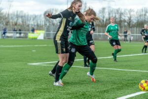 100421 KoldingQ-Kildemosens BK 17 foto BlumePress