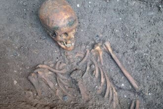 Arkæologer udgraver grave ved Skt. Nicolai Kirke i Kolding