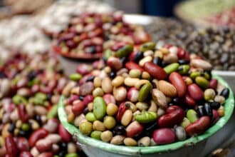Skåle med forskellige baelgfrugter - hvide boenner, kikaerter og brune linser - ingredienser til italiensk tomatpande ved faellesspisning i Skovparken i Kolding