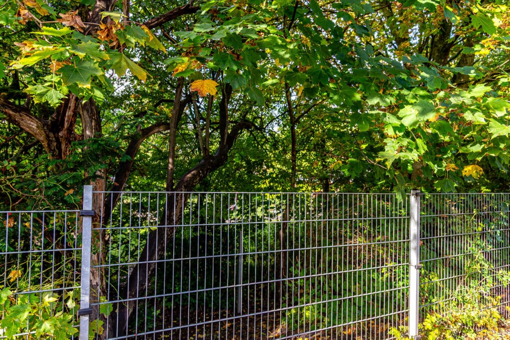 Tætte klatretræer og gråt metalhegn på legepladsen ved Brændkjærskolen i Kolding