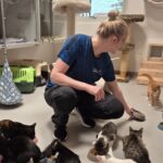 Internatleder Jannie har travlt med de mange katte på Kattens Værns internat i Billund - over 70 katte venter på nye hjem